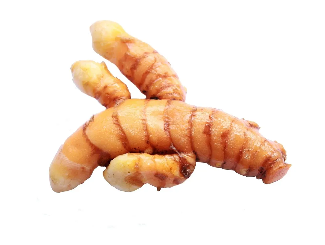 Turmeric root chopped for the dyepot.