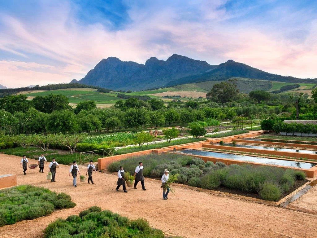 babylonstoren-chefs-in-the-garden-photos.jpg babylonstoren-chefs-in-the-garden-photos.jpg
