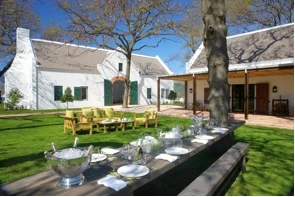 cape-vinyard-stellenbosh.jpg cape-vinyard-stellenbosh.jpg