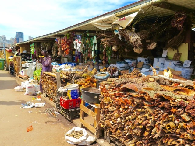 Traditional Medicine Market